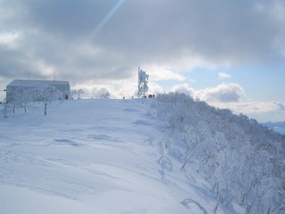 北海道　スキー場　ルスツ