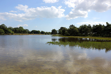 View of the water at Hatchet Pond in the New Forest