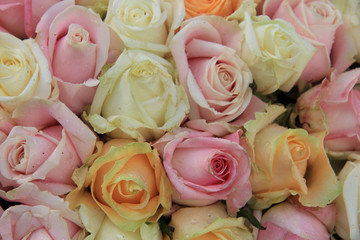 Pastel roses in a wedding arrangement