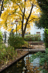 jardin public à l'automne