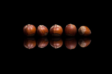 Five hazelnuts isolated on black reflective background