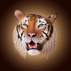 Vector Portrait of a Tiger.