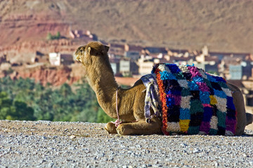 The observer © mr_reverend