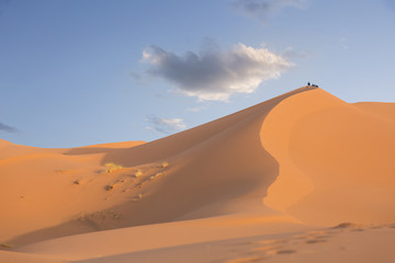 Fototapeta na wymiar Sunrise in the desert