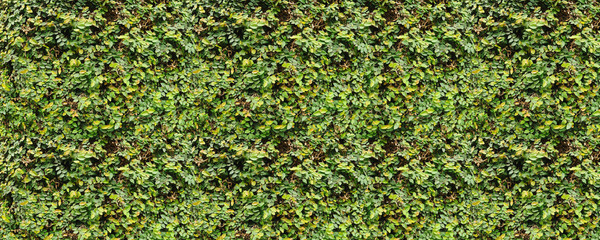 living green wall - exterior - 124426863