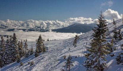 Fototapeta premium Dragobrat Ukraine. Alpine scenic Ski resort