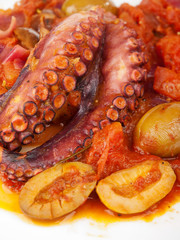 Octopus with tomato sauce and olives, one portion, close up, iso
