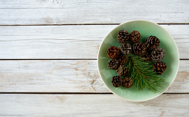 pine cones with branch on a white background