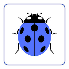 Ladybug small icon. Blue lady bug sign, isolated on white background. Wildlife animal design. Cute colorful ladybird. Insect cartoon beetle. Symbol of nature, spring or summer. Vector illustration