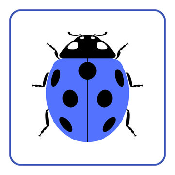 Ladybug small icon. Blue lady bug sign, isolated on white background. Wildlife animal design. Cute colorful ladybird. Insect cartoon beetle. Symbol of nature, spring or summer. Vector illustration
