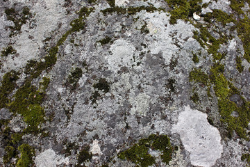 The texture of the rocks