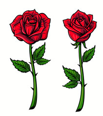 Red rose cartoon - obrazy, fototapety, plakaty