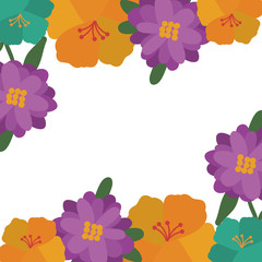 beautiful colorful natural flowers frame design. vector illustration