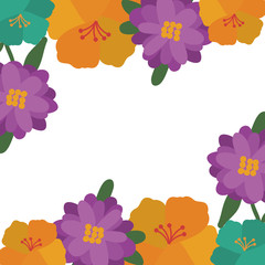 beautiful colorful natural flowers frame design. vector illustration