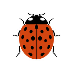 Ladybug small icon. Red lady bug sign, isolated on white background. Wildlife animal design. Cute colorful ladybird. Insect cartoon beetle. Symbol of nature, spring, summer. Vector illustration