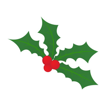christmas holly leaf, christmas symbol