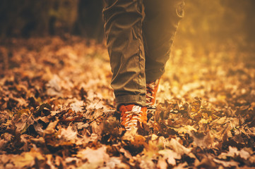 Feet sneakers walking on fall leaves Outdoor with Autumn season nature on background Lifestyle...