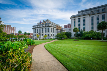 Fototapeta premium Buildings and walkway at the State Capitol in Columbia, South Ca