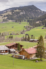 Fototapeta na wymiar Typical Swiss village on valley.
