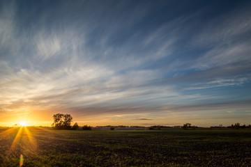 Fototapeta premium Sunset and clouds