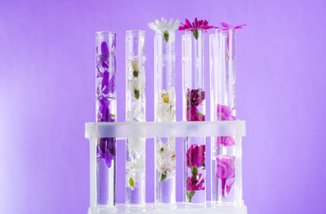 Different flowers in tubes on a tripod. On purple background.