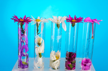 Different flowers in tubes on a tripod. On a blue background.