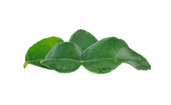 Kaffir Lime Leaves Green