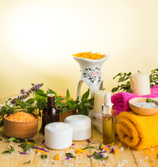Herbal set. Healing herbs. Aromatherapy. On a wooden background.