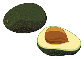 avocado, fruit shown on a white background