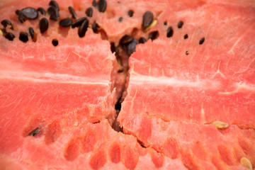 the flesh of watermelon