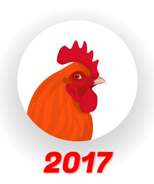 image of a rooster for chinese year 2017 