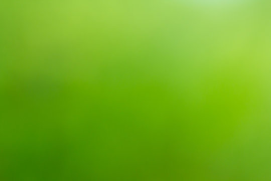 blur green background