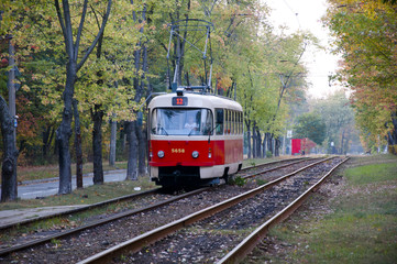 Obraz premium red tram on track in forest