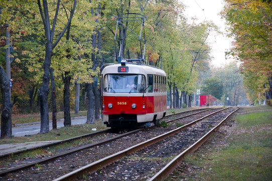 red tram on track in forest