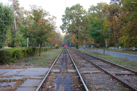 empty tram rail track in forest