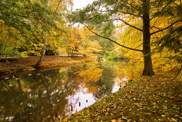 Fototapeta na wymiar Autumn in the Oliwa park in Gdansk, Poland