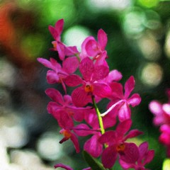 Fototapeta na wymiar orchid / oil painting photo effect