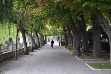 Fototapeta na wymiar Paseos bajo los árboles de un parque en otoño.