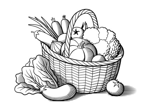 Hand-holding-vegetable-basket-harvest. Illustration of a hand holding a  basket full of crop fruit vegetable harvest. | CanStock
