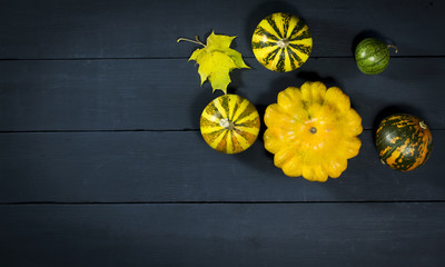 Pumpkins, watermelon, nuts, and squash.