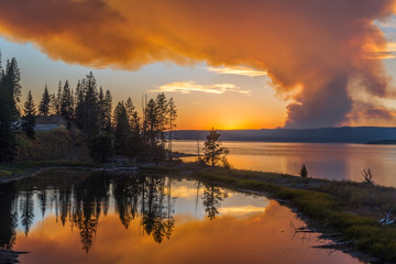 Forest fire colouring the sky orange over Yellowstone