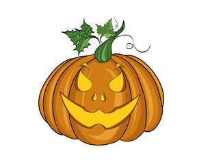 Pumpkin . Vector illustration on white background