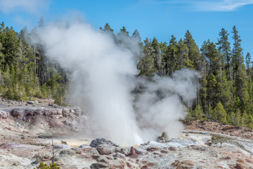 Thermal feature Yellowstone National Park