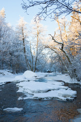 Canyon with river and forest in winter