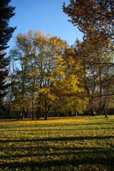 Peterhof, Russia - 19 October 2016