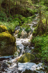 Waterfall in the creek flowing in forest