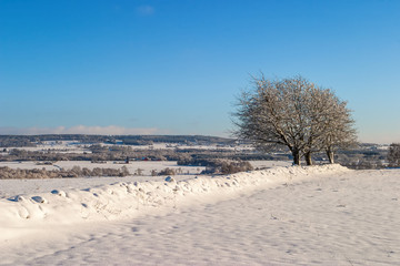 Rural winter landscape with trees on a snowy stone wall