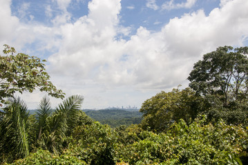 Fototapeta na wymiar Panama City View