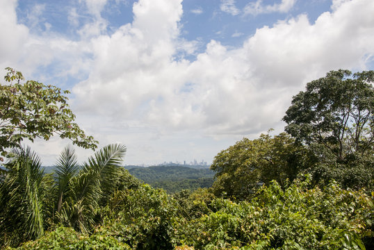 Panama City View