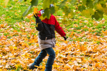 Autumn and the boy with the shelter of the trees plays a person leaves
